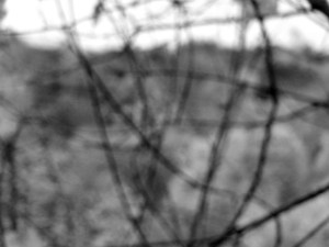 Fall foliage in Maine can be BEAUTIFUL!!