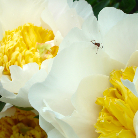 DSC02079 - Version 2