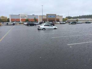 12033036_10153199591749211_3213327864446739654_n