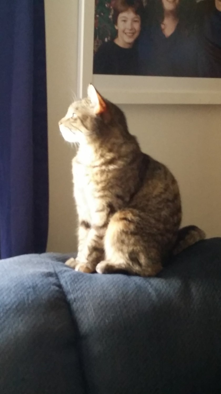 20160404_074736.jpg image