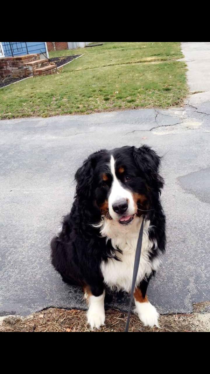 FB_IMG_1464720728278.jpg image