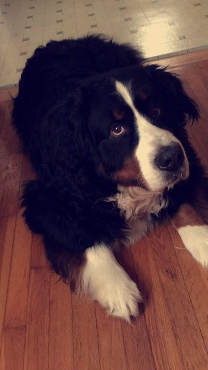 FB_IMG_1464720775491.jpg image