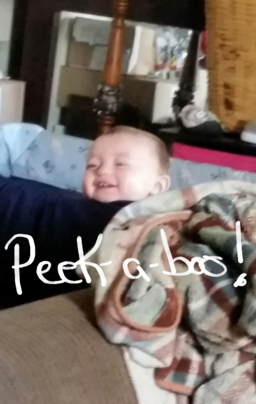 2016-06-08 13.56.26.jpg image