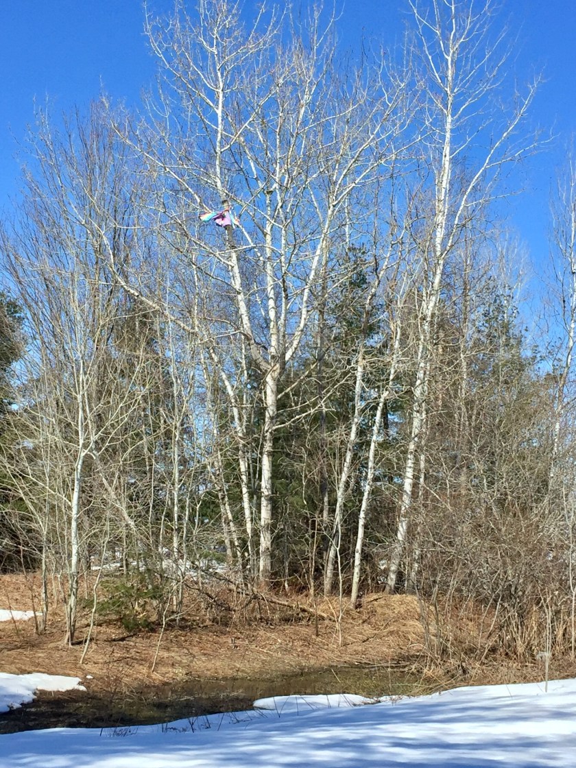 24E63340-6B3B-40D5-B82C-40C71555B925