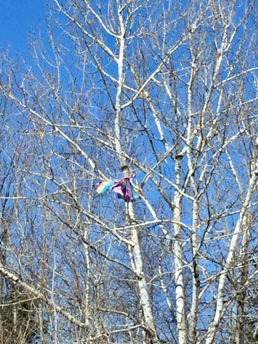 A9E3339E-F346-4080-A1A1-4D7792E7A1B1