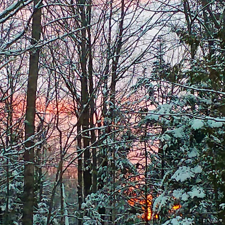 49332673_10213304397869888_4525120965461409792_n